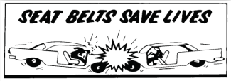 seat belts save lives image
