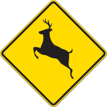 sign image - deer crossing